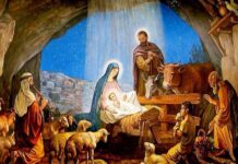 Mesajul de Crăciun al senatorului PNL Călin Petru Marian