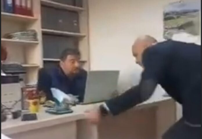 terteci_bedea