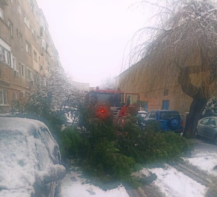 IMG-20260103-WA0013